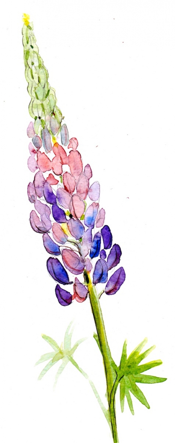 Wedding Flowers Cornwall 10